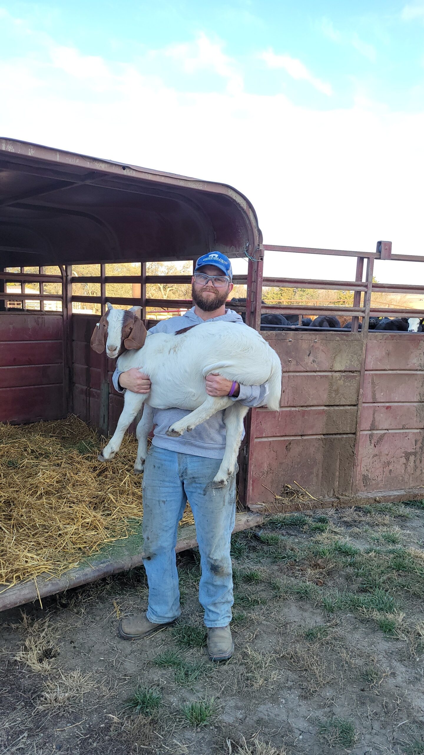 Felicia+Heavican+-+Snapchat-2097201625 A farmer holding a goat in a livestock barn, with straw on the ground and cattle visible in the background. The farmer is wearing a gray hoodie, jeans, and a baseball cap, showcasing farm life and animal husbandry practices.